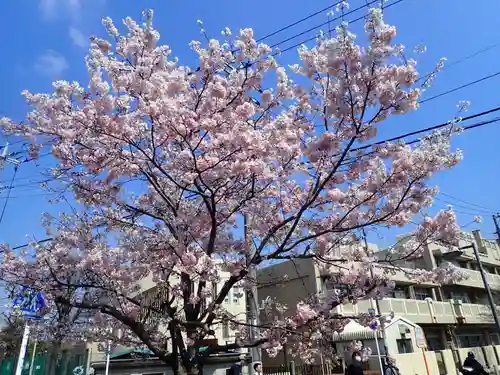 弘明寺の御朱印