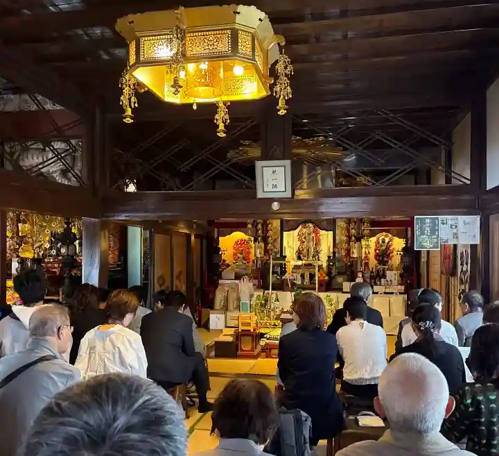 東円寺の{uncategorized: "未分類", other: "その他", undefined: "問題あり", building: "その他建物", grave: "お墓", sacred_gate: "鳥居", guardian: "狛犬", statue: "像", buddha: "仏像", history: "歴史", nature: "自然", garden: "庭園", animal: "動物", pagoda: "塔", temizu: "手水舎", mountain_gate: "山門・神門", sanctuary: "本殿・本堂", subordinate: "末社・摂社", art: "芸術", scenery: "景色", jizo: "地蔵", ema: "絵馬", goshuin: "御朱印", omikuji: "おみくじ", items: "授与品その他", amulet: "お守り", goshuincho: "御朱印帳", eats: "食事", festival: "お祭り", votive_dance: "神楽", shichigosan: "七五三参", wedding: "結婚式", experience: "体験その他", initially: "初詣", around: "周辺", anti_infection: "感染症対策"}