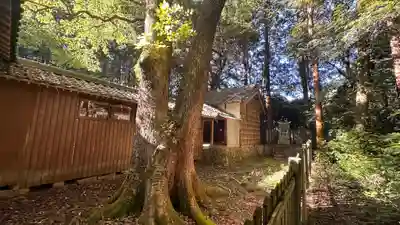 阿由多神社(三重県)