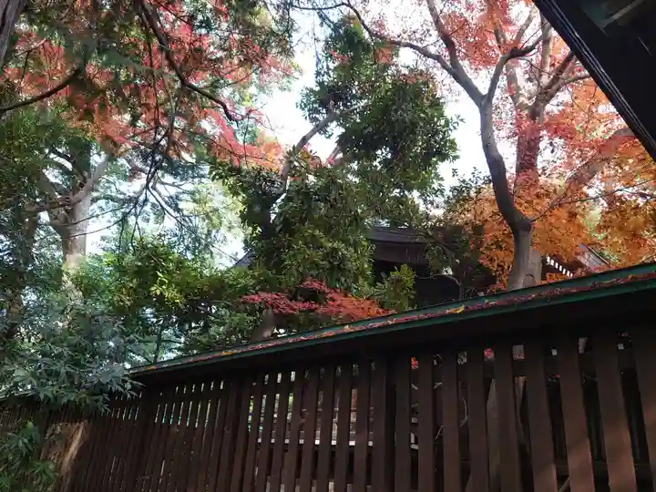 城山熊野神社の本殿・本堂