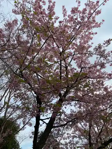 常泉寺(神奈川県)