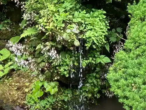 長谷寺(長野県)