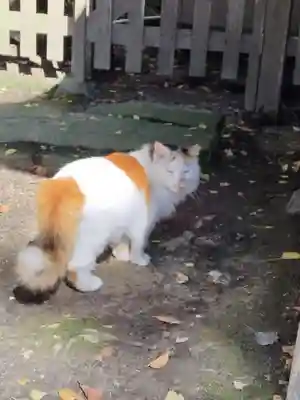 阿邪訶根神社(福島県)
