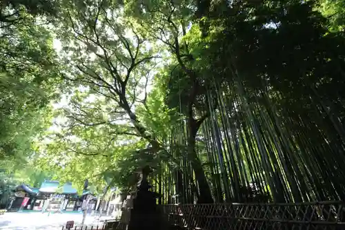 大宮八幡宮の庭園