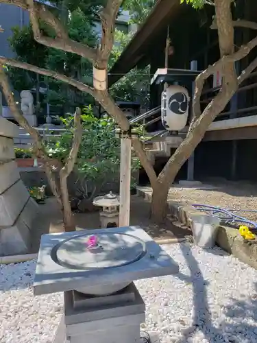 高円寺氷川神社のその他建物