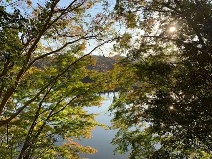 八雲神社の自然