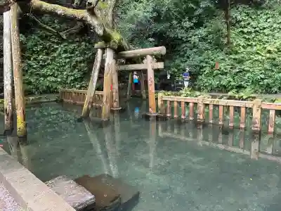 鹿島神宮(茨城県)