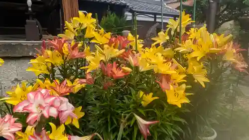 正福寺(大阪府)