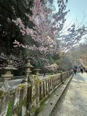 金刀比羅宮の{uncategorized: "未分類", other: "その他", undefined: "問題あり", building: "その他建物", grave: "お墓", sacred_gate: "鳥居", guardian: "狛犬", statue: "像", buddha: "仏像", history: "歴史", nature: "自然", garden: "庭園", animal: "動物", pagoda: "塔", temizu: "手水舎", mountain_gate: "山門・神門", sanctuary: "本殿・本堂", subordinate: "末社・摂社", art: "芸術", scenery: "景色", jizo: "地蔵", ema: "絵馬", goshuin: "御朱印", omikuji: "おみくじ", items: "授与品その他", amulet: "お守り", goshuincho: "御朱印帳", eats: "食事", festival: "お祭り", votive_dance: "神楽", shichigosan: "七五三参", wedding: "結婚式", experience: "体験その他", initially: "初詣", around: "周辺", anti_infection: "感染症対策"}