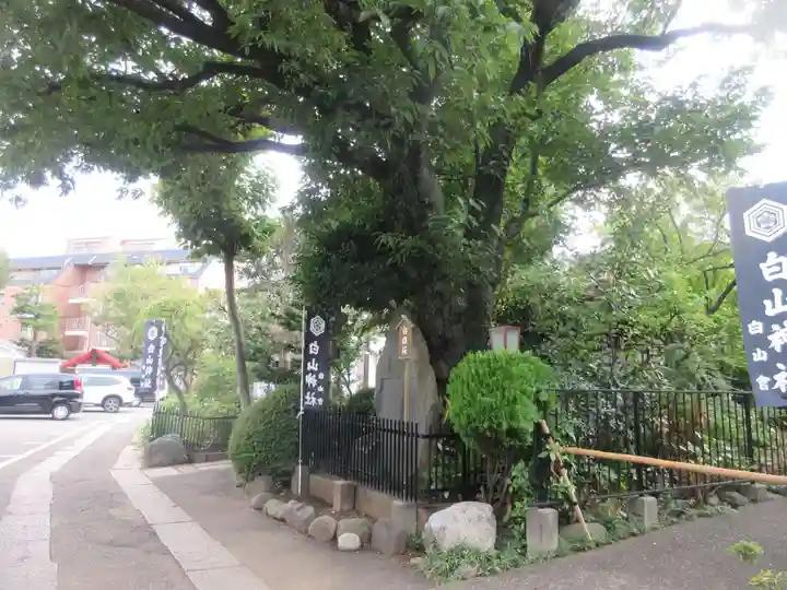 白山神社(東京都)