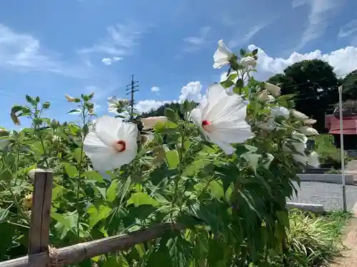 飯笠山神社の庭園