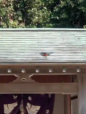 聖天神社（聖天上人像社）(神奈川県)