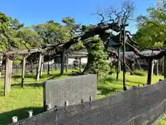 大光院 新田寺(群馬県)