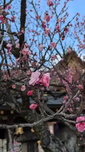 北野天満宮(京都府)