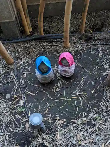 梅窓院(東京都)