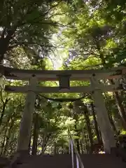 宝登山神社奥宮の鳥居