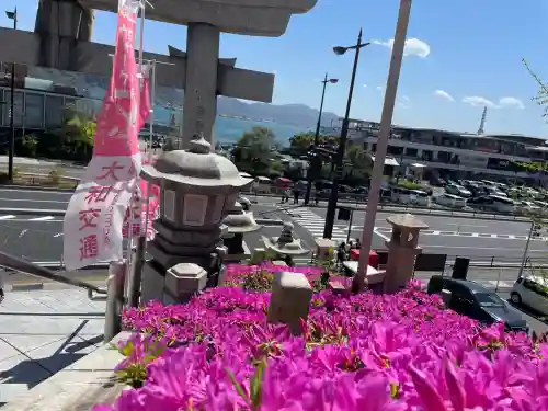 亀山八幡宮(山口県)