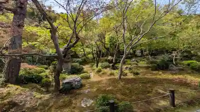 圓光寺(京都府)