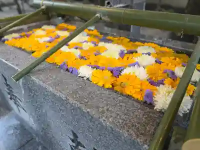 現人神社の{uncategorized: "未分類", other: "その他", undefined: "問題あり", building: "その他建物", grave: "お墓", sacred_gate: "鳥居", guardian: "狛犬", statue: "像", buddha: "仏像", history: "歴史", nature: "自然", garden: "庭園", animal: "動物", pagoda: "塔", temizu: "手水舎", mountain_gate: "山門・神門", sanctuary: "本殿・本堂", subordinate: "末社・摂社", art: "芸術", scenery: "景色", jizo: "地蔵", ema: "絵馬", goshuin: "御朱印", omikuji: "おみくじ", items: "授与品その他", amulet: "お守り", goshuincho: "御朱印帳", eats: "食事", festival: "お祭り", votive_dance: "神楽", shichigosan: "七五三参", wedding: "結婚式", experience: "体験その他", initially: "初詣", around: "周辺", anti_infection: "感染症対策"}