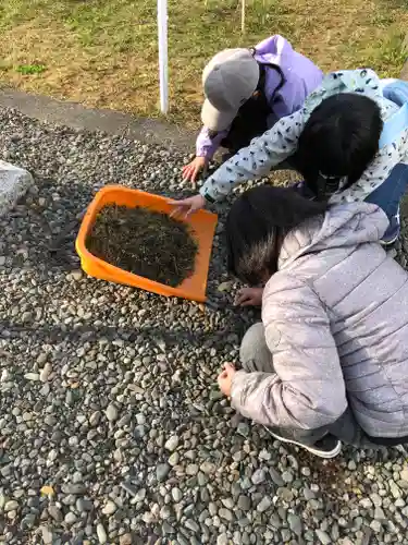 伊達神社の体験その他