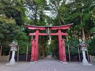 彌彦神社の鳥居