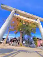 津島社(天王町)の鳥居