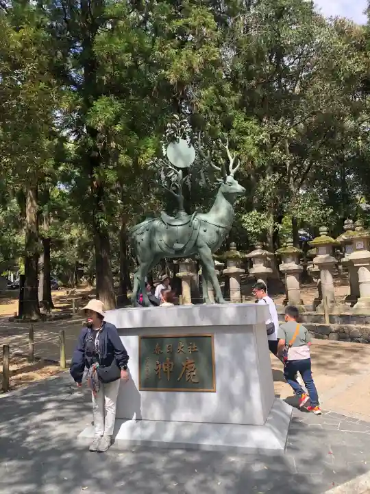 春日大社の御朱印