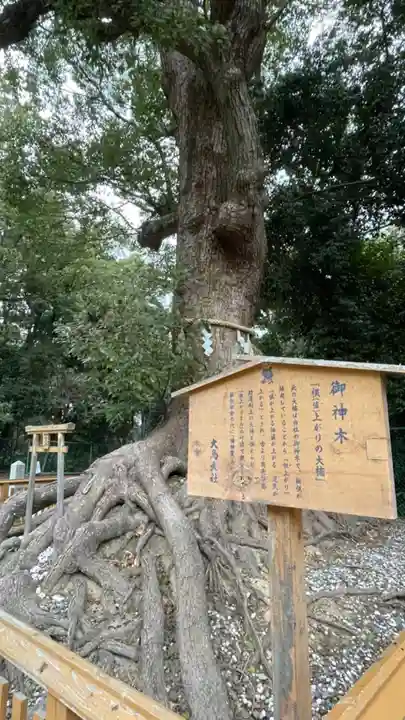 和泉國一之宮 大鳥大社(大阪府)