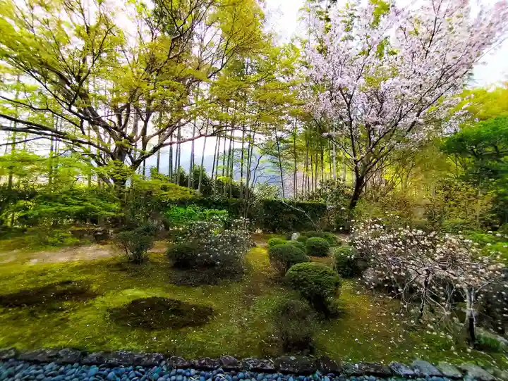 宝泉院(京都府)