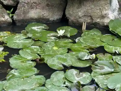 高屋敷稲荷神社(福島県)