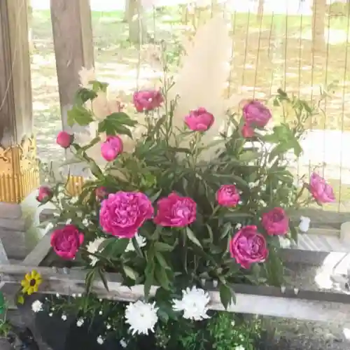 彌彦神社　(伊夜日子神社)(北海道)