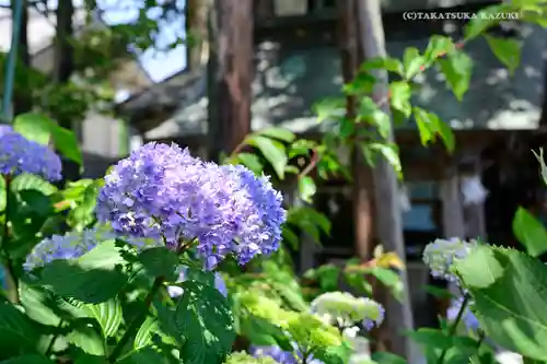 御霊神社の自然