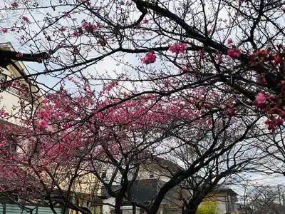 長円寺(京都府)