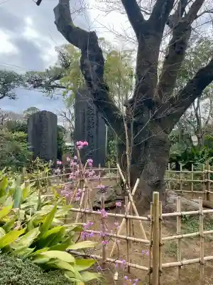 法真寺の{uncategorized: "未分類", other: "その他", undefined: "問題あり", building: "その他建物", grave: "お墓", sacred_gate: "鳥居", guardian: "狛犬", statue: "像", buddha: "仏像", history: "歴史", nature: "自然", garden: "庭園", animal: "動物", pagoda: "塔", temizu: "手水舎", mountain_gate: "山門・神門", sanctuary: "本殿・本堂", subordinate: "末社・摂社", art: "芸術", scenery: "景色", jizo: "地蔵", ema: "絵馬", goshuin: "御朱印", omikuji: "おみくじ", items: "授与品その他", amulet: "お守り", goshuincho: "御朱印帳", eats: "食事", festival: "お祭り", votive_dance: "神楽", shichigosan: "七五三参", wedding: "結婚式", experience: "体験その他", initially: "初詣", around: "周辺", anti_infection: "感染症対策"}