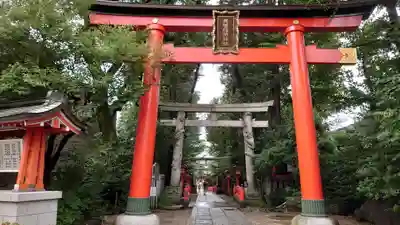 馬橋稲荷神社の鳥居