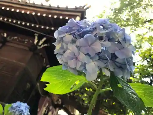 白山神社の自然