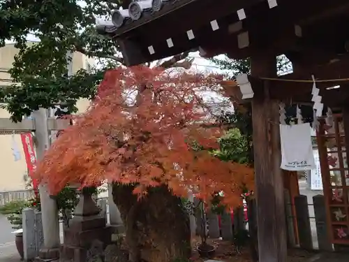 御嶽神社茅萱宮(岐阜県)