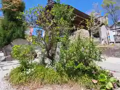 諏訪神社(東京都)