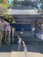 藤山神社の本殿・本堂