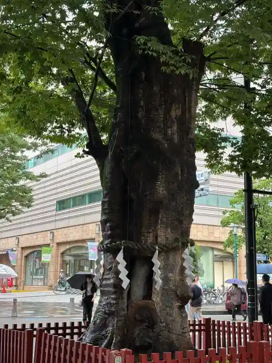 大國魂神社(東京都)