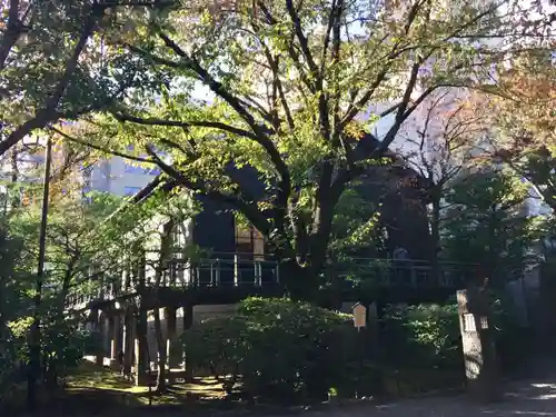 乃木神社の周辺