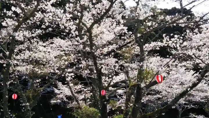 小國神社の自然