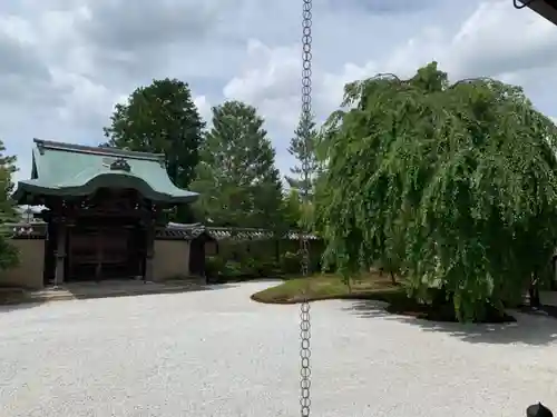 高台寺（高台寿聖禅寺・高臺寺）のその他建物