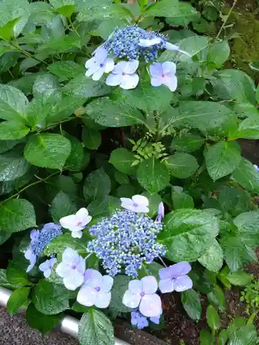 宝満宮竈門神社(福岡県)