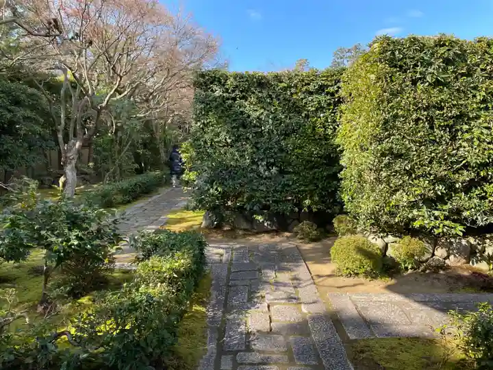 大光院(京都府)