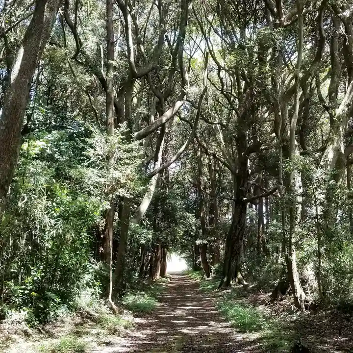 沼尾神社の自然