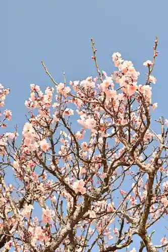 天徳寺(山口県)