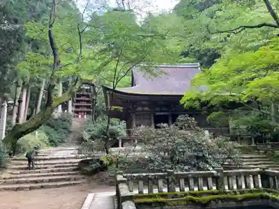 室生寺の本殿・本堂