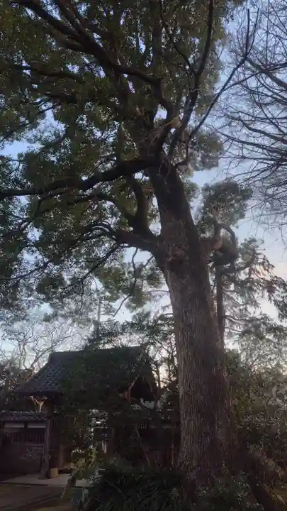 東泉院(神奈川県)
