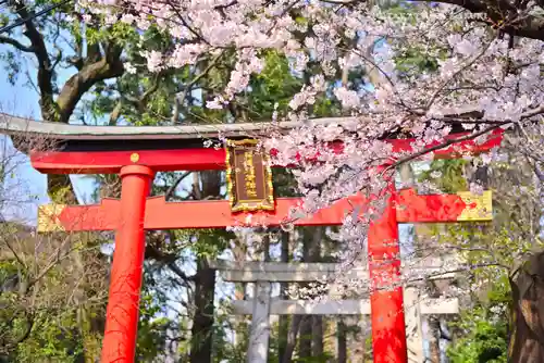 馬橋稲荷神社(東京都)